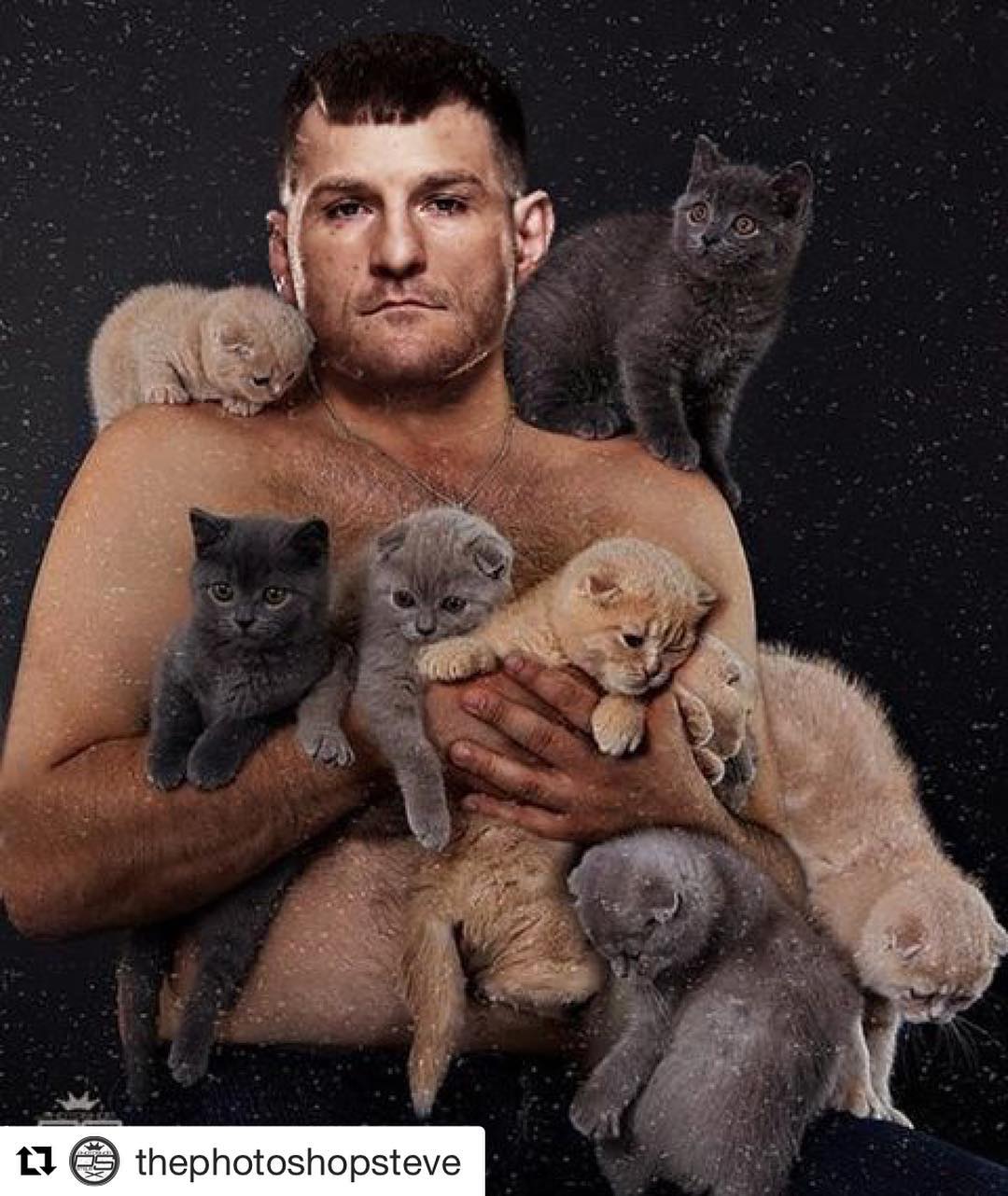 Stipe Miocic