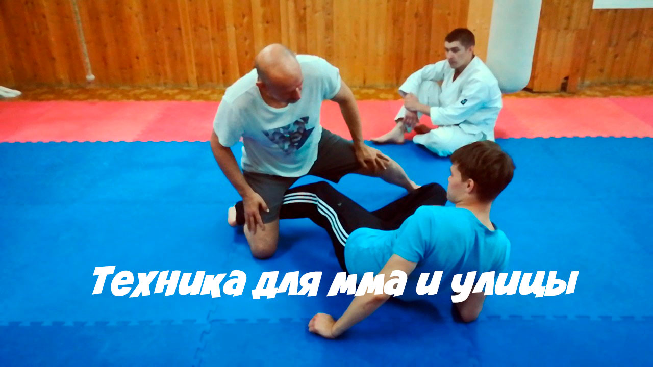 Хользунова 106 Академия боя